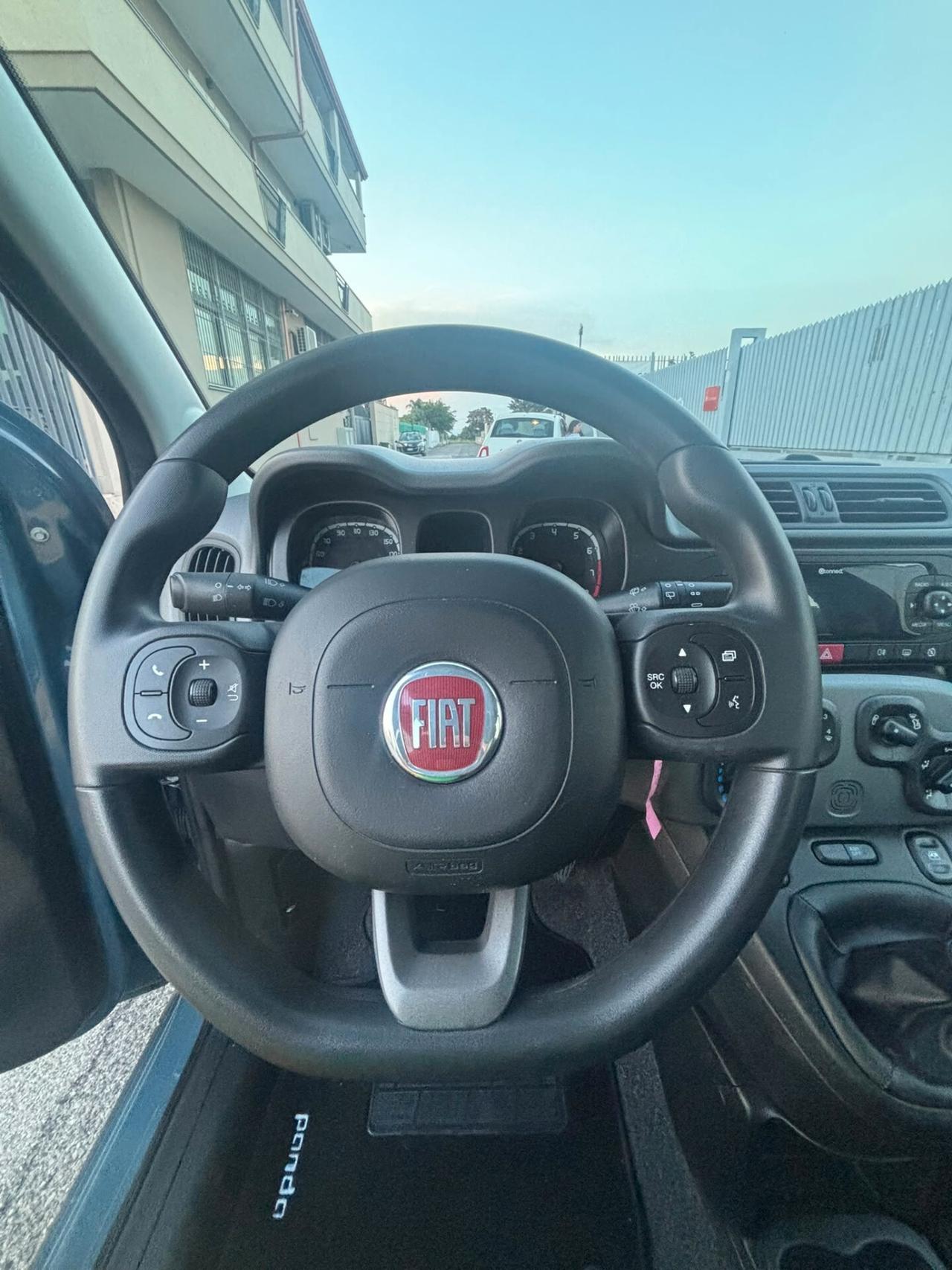 Fiat Panda 1.0 FireFly S&S Hybrid City Life ANNO 12/2021