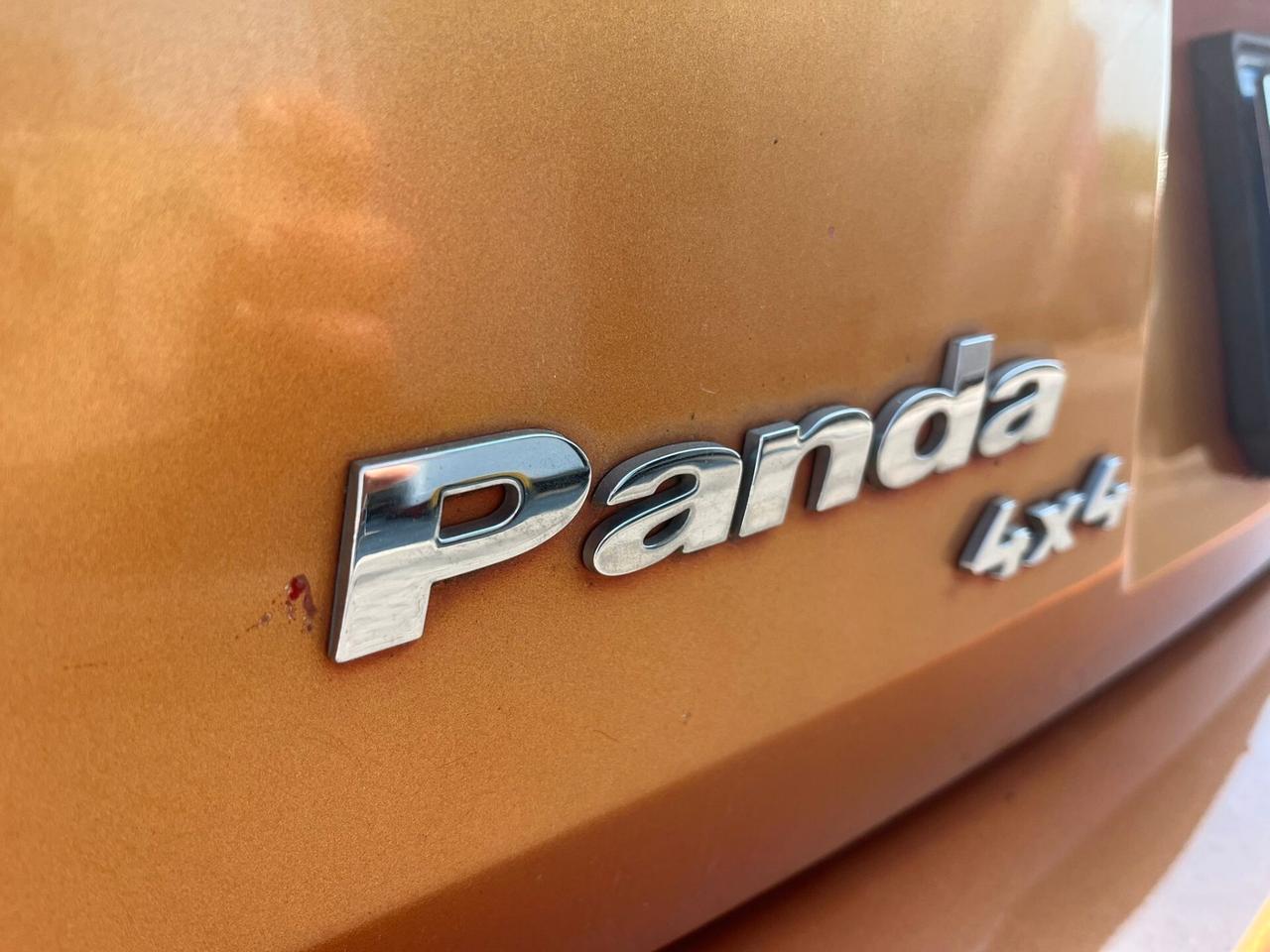 Fiat Panda 1.3 MJT 16V 4x4