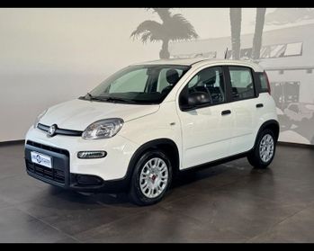 FIAT Panda 3ª serie 1.0 FireFly S&S Hybrid