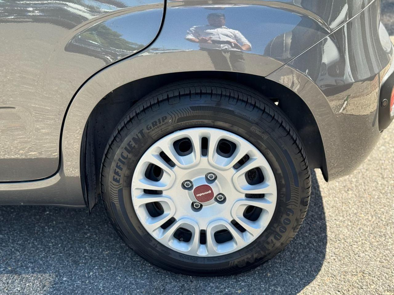 FIAT Panda 1.0 FireFly S&S Hybrid Sensori Parcheggio