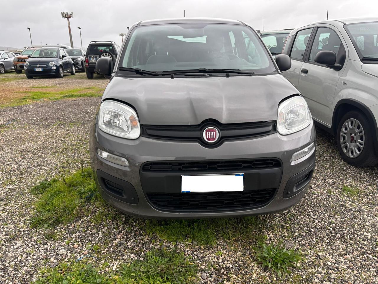 Fiat Panda 1.0 FireFly S&S Hybrid Easy GARANZIA 12 MESI