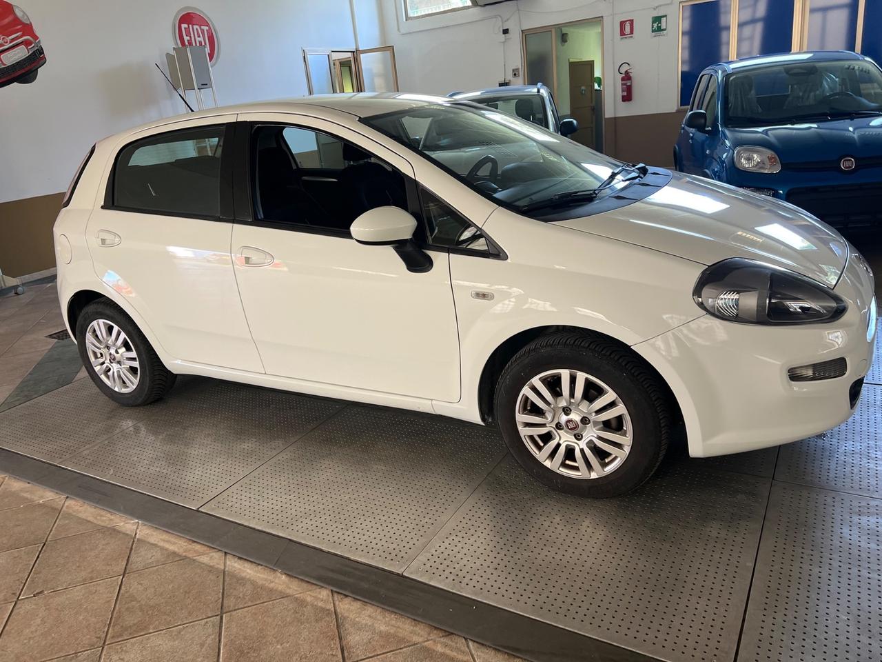 Fiat Punto 1.2 8V 5 porte Lounge