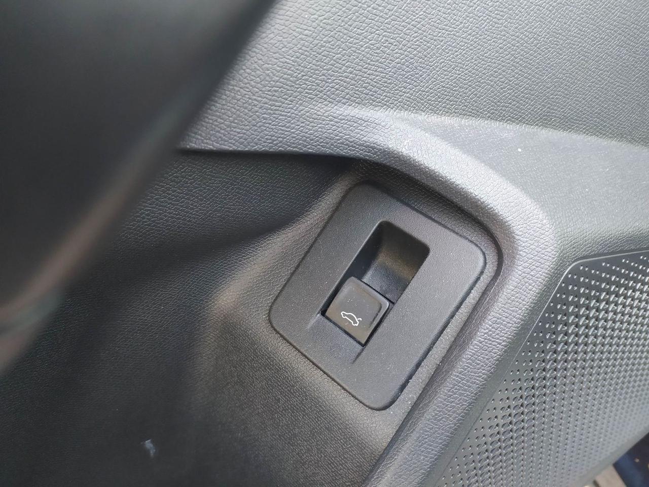 Cupra Formentor Tribe Edition 2.0 TDI #8281