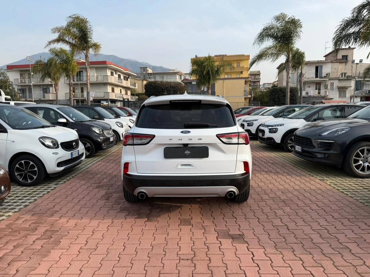 Ford Kuga 1.5 EcoBlue 120 CV 2WD Titanium