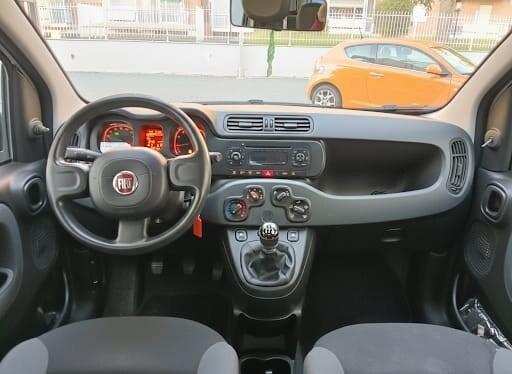 FIAT Panda 3ª serie Panda 1.0 FireFly S&S Hybrid