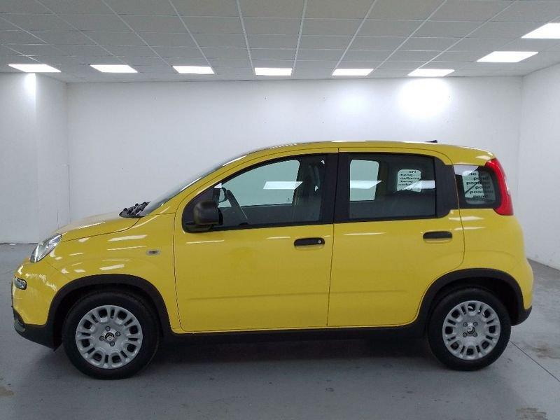 FIAT Panda III 2024 Pandina 1.0 firefly hybrid s e s 70cv