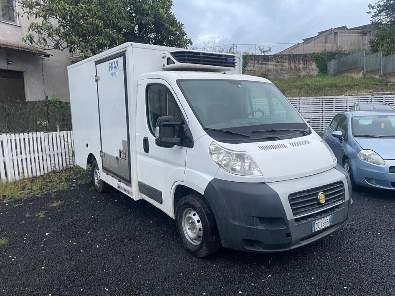 Fiat Ducato Frigo