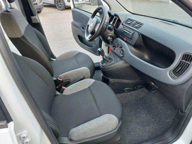 FIAT Panda 1.0 FireFly S&S Hybrid 5 posti Sedile reg altezza