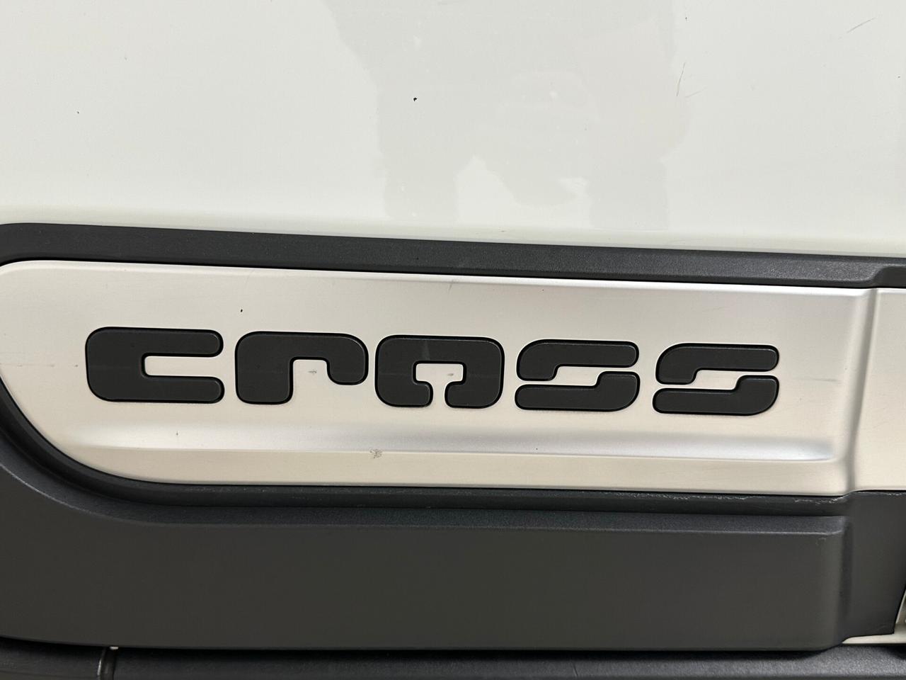 Fiat Panda Cross 1.3 MJT 95 CV S&S 4x4 - 2018