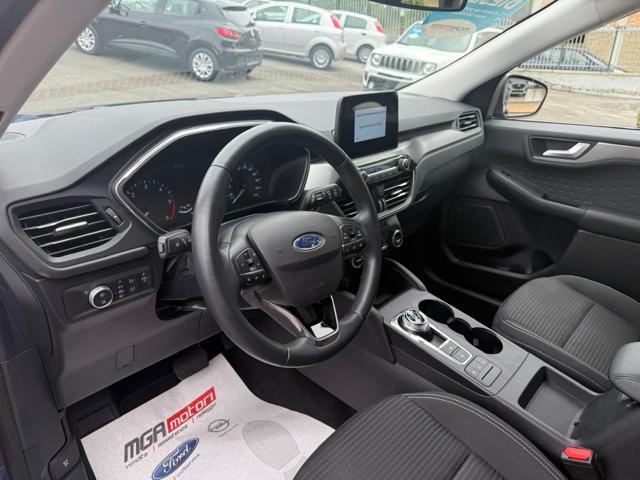 FORD Kuga 1.5 EcoBlue 120 CV 2WD AUT. Titanium Business