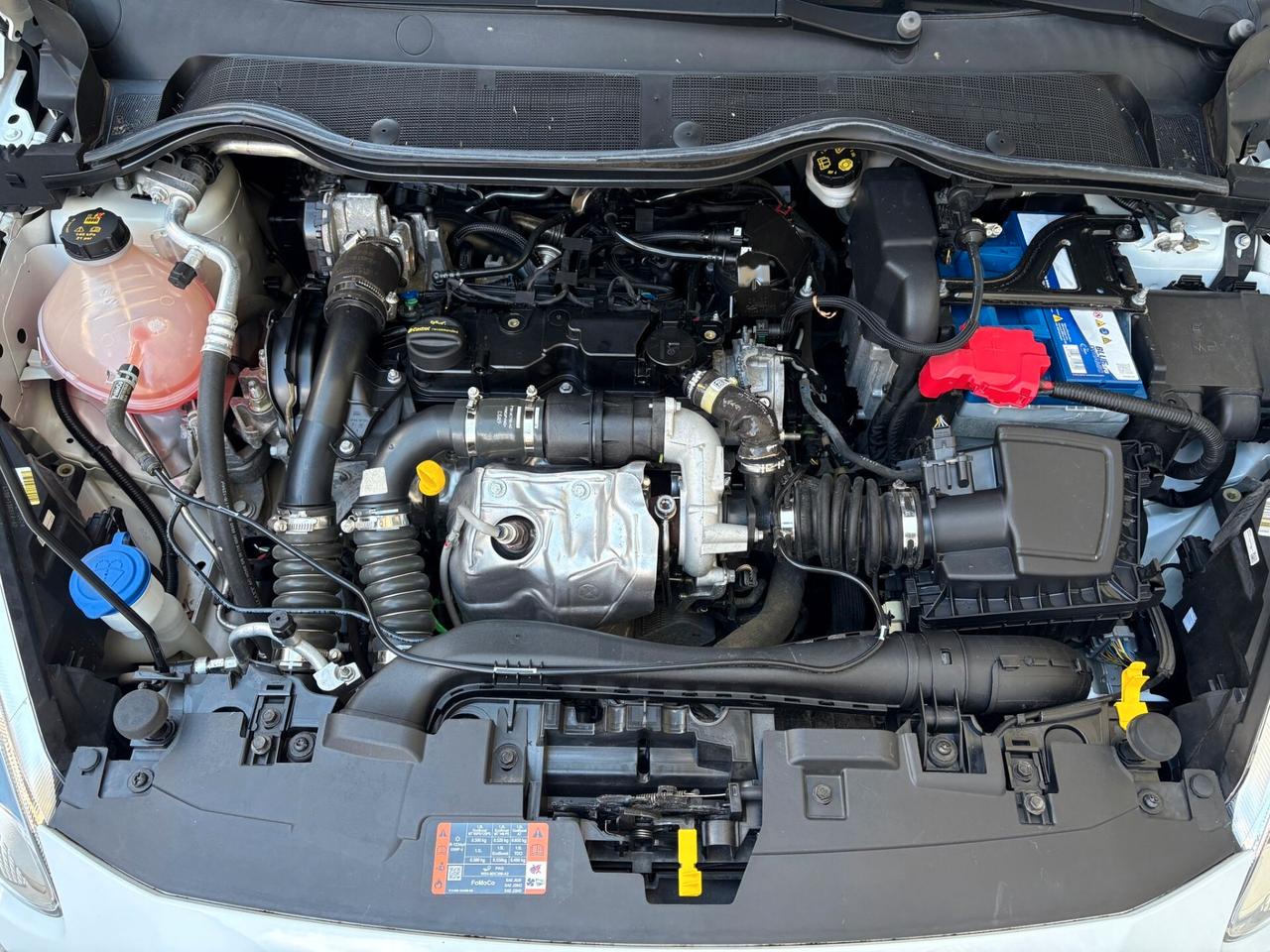 FORD Fiesta 1.5TDCi S&S Trend N1 Van 86 6M 2020
