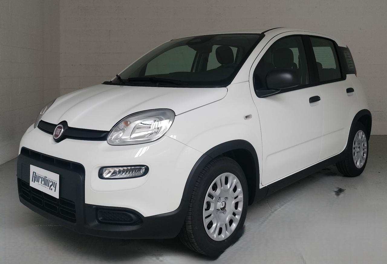 Fiat Panda PANDINA 1.0 FireFly S&S Hybrid NEOPATENTATO