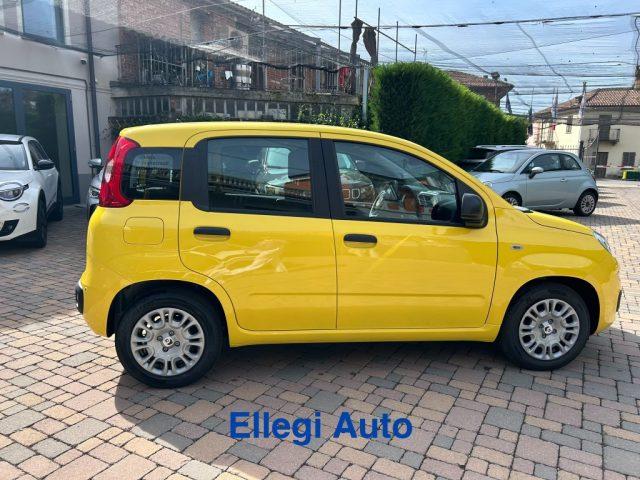 FIAT Pandina PROMO FINANZIAM 1.0 FireFly 65 CV Hybrid Pop KM 0