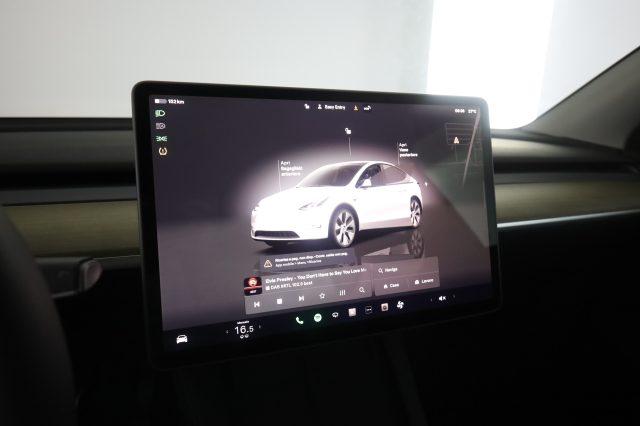 TESLA Model Y Model Y RWD