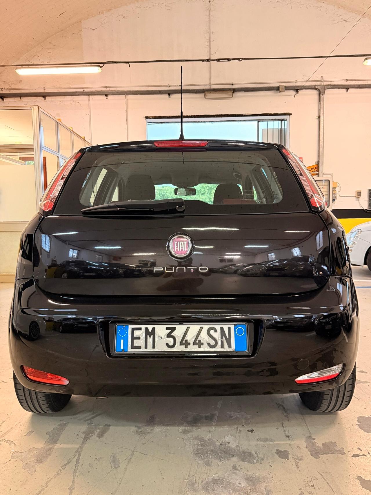 Fiat Punto Evo Punto Evo 1.4 5 porte Active EasyPower
