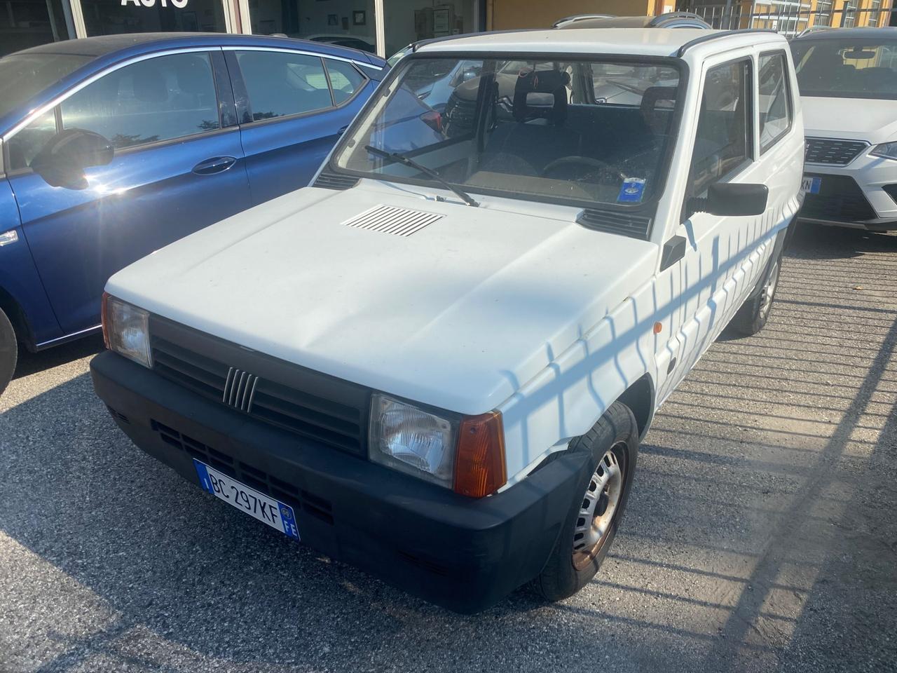 Fiat Panda 900 i.e. cat Young