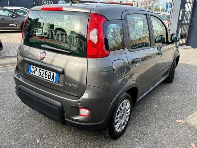 Fiat Panda Panda 1.0 firefly hybrid DISPONIBILI VARI COLORI