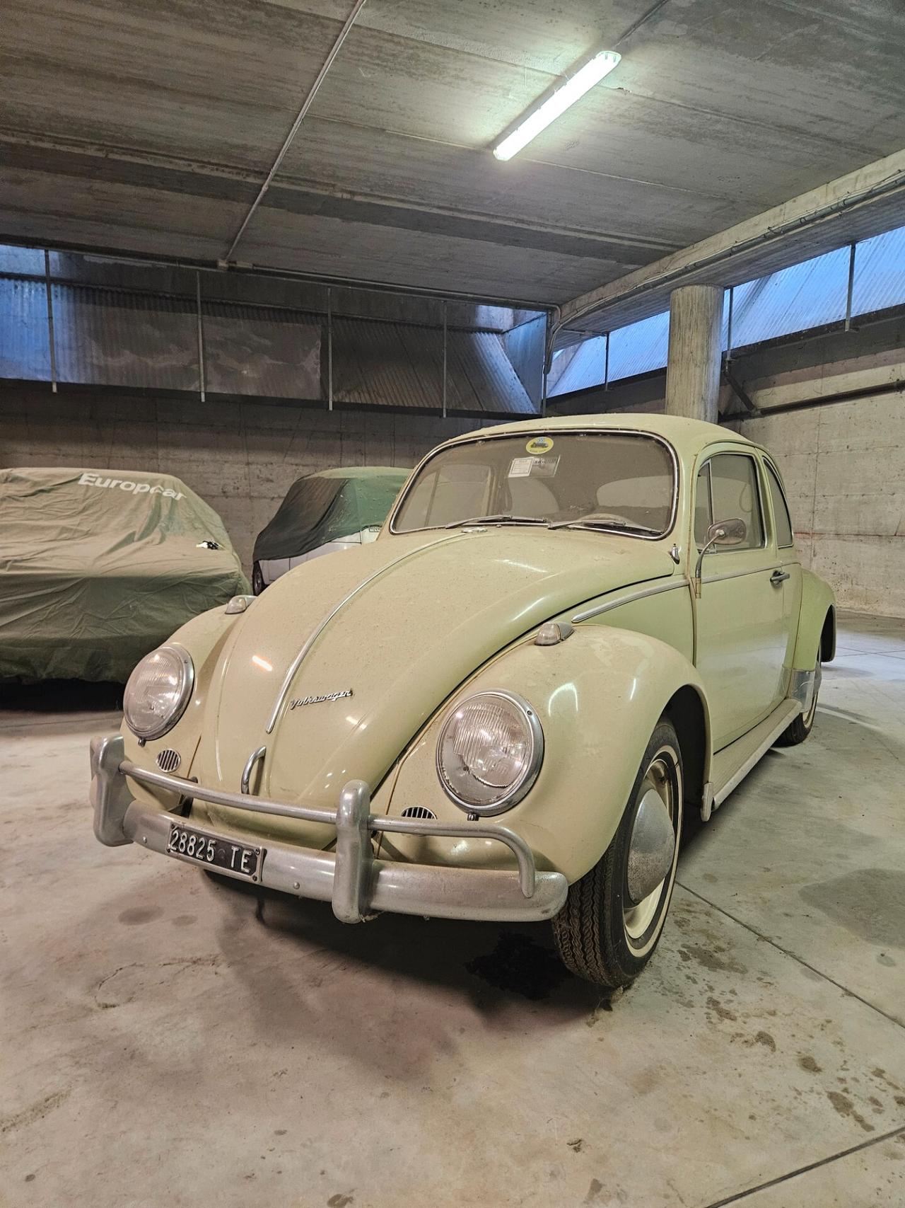 Volkswagen Maggiolino 6v