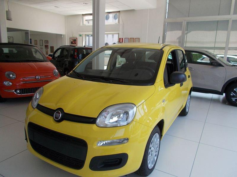 FIAT Pandina Pandina 1.0 FireFly 65 CV Hybrid Pop 338.7575187 MASSARI MARCO