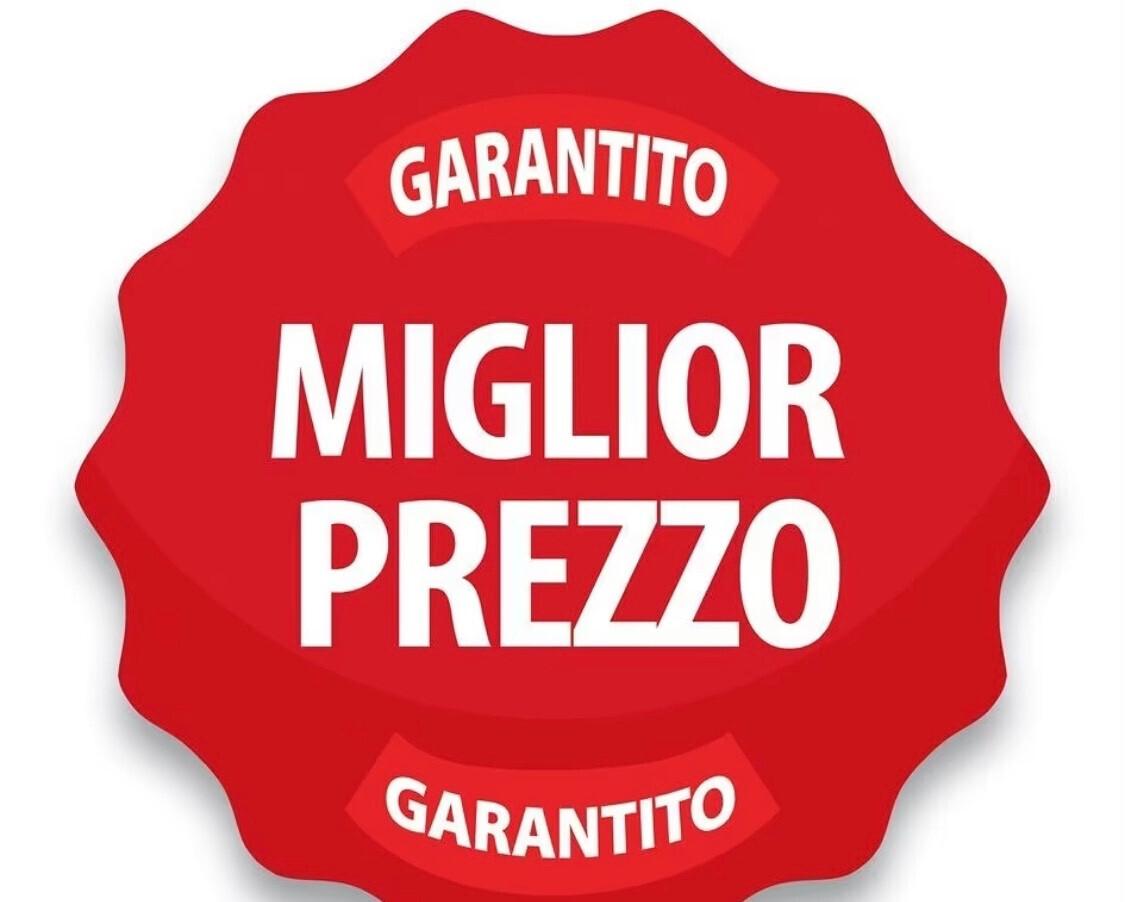Fiat Punto 1.3 MJT II 75 CV 5 p. PREZZO SPECIALE