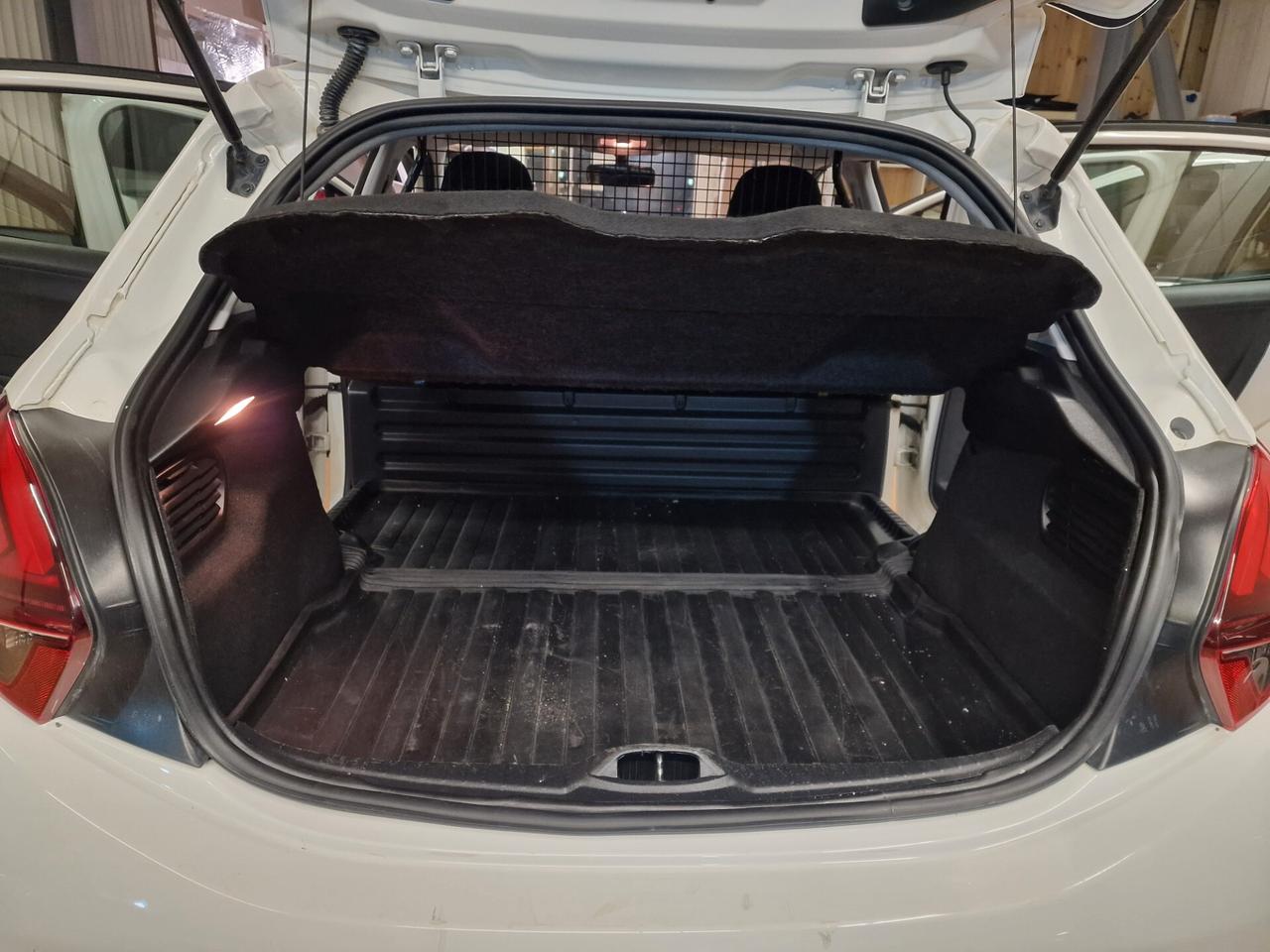 Peugeot 208 BlueHDi 100 S&S 5 porte Van Active