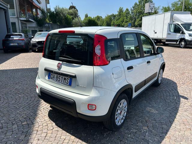 FIAT Panda 1.0 FireFly S&S Hybrid City Life van 4 posti + iva