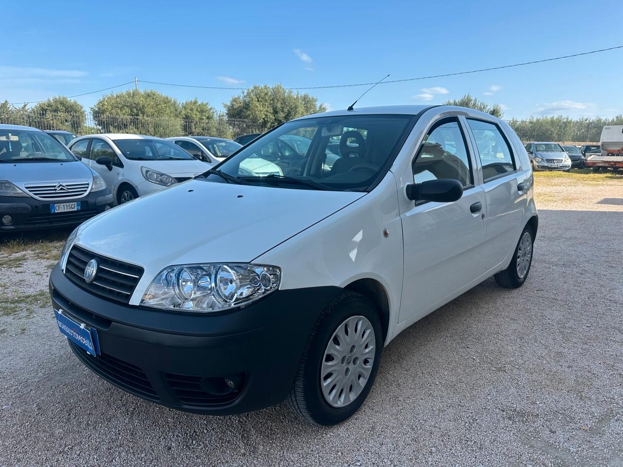 Fiat Punto 1.2 5 porte Dynamic Unica