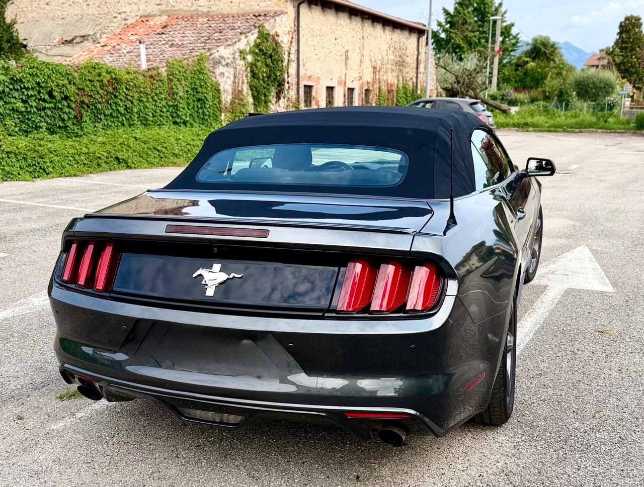 Ford Mustang America