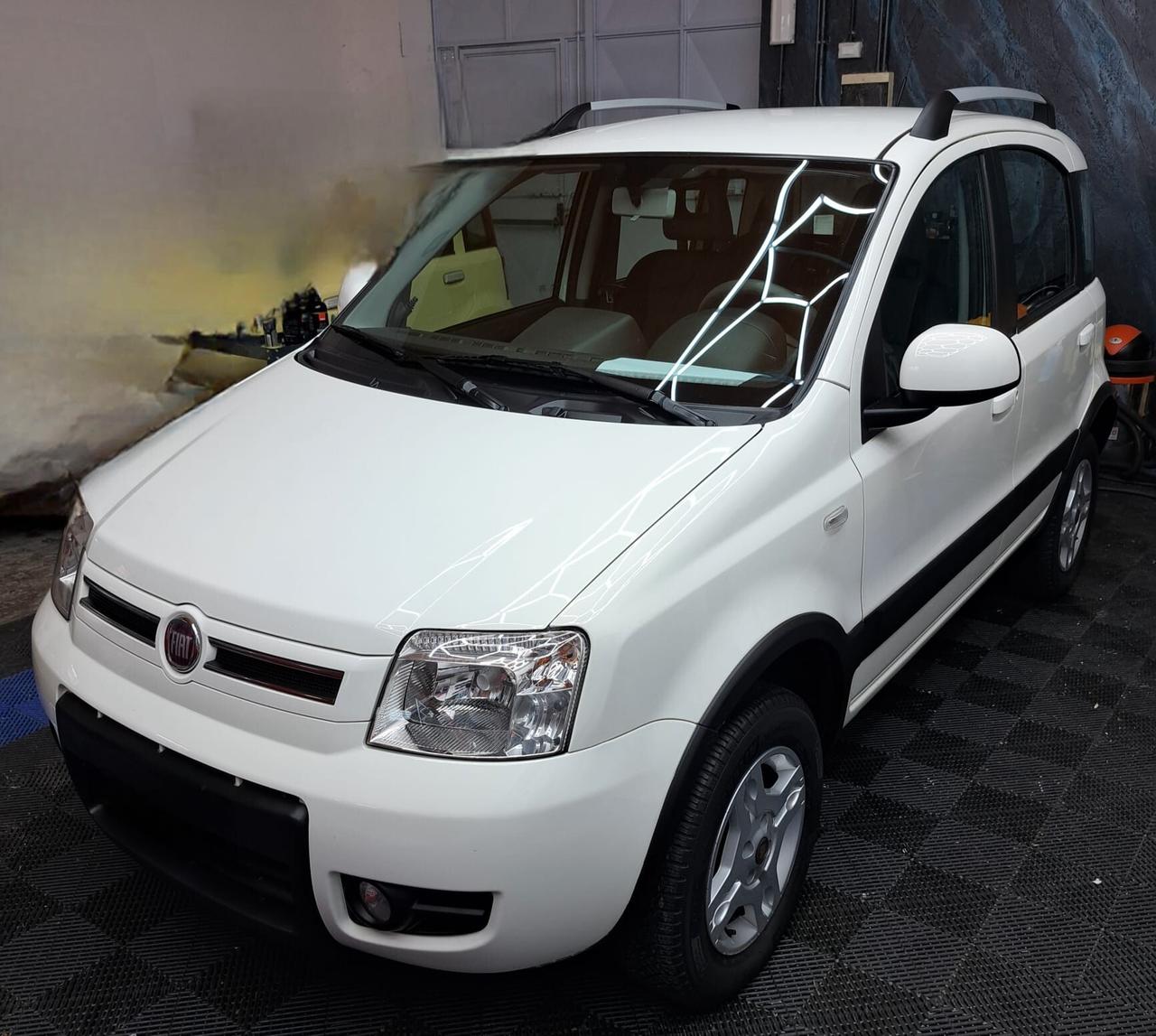 Fiat Panda 1.3 MJT 16V DPF 4x4 Climbing