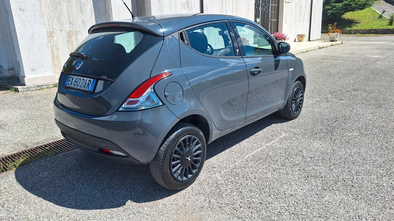 Lancia Ypsilon 0.9 TwinAir 85 CV 5 porte Metano Ecochic Elefantino