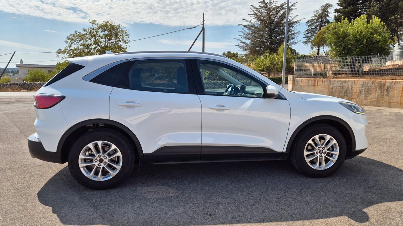 Ford Kuga 1.5 EcoBlue 120 CV aut. 2WD Titanium Business