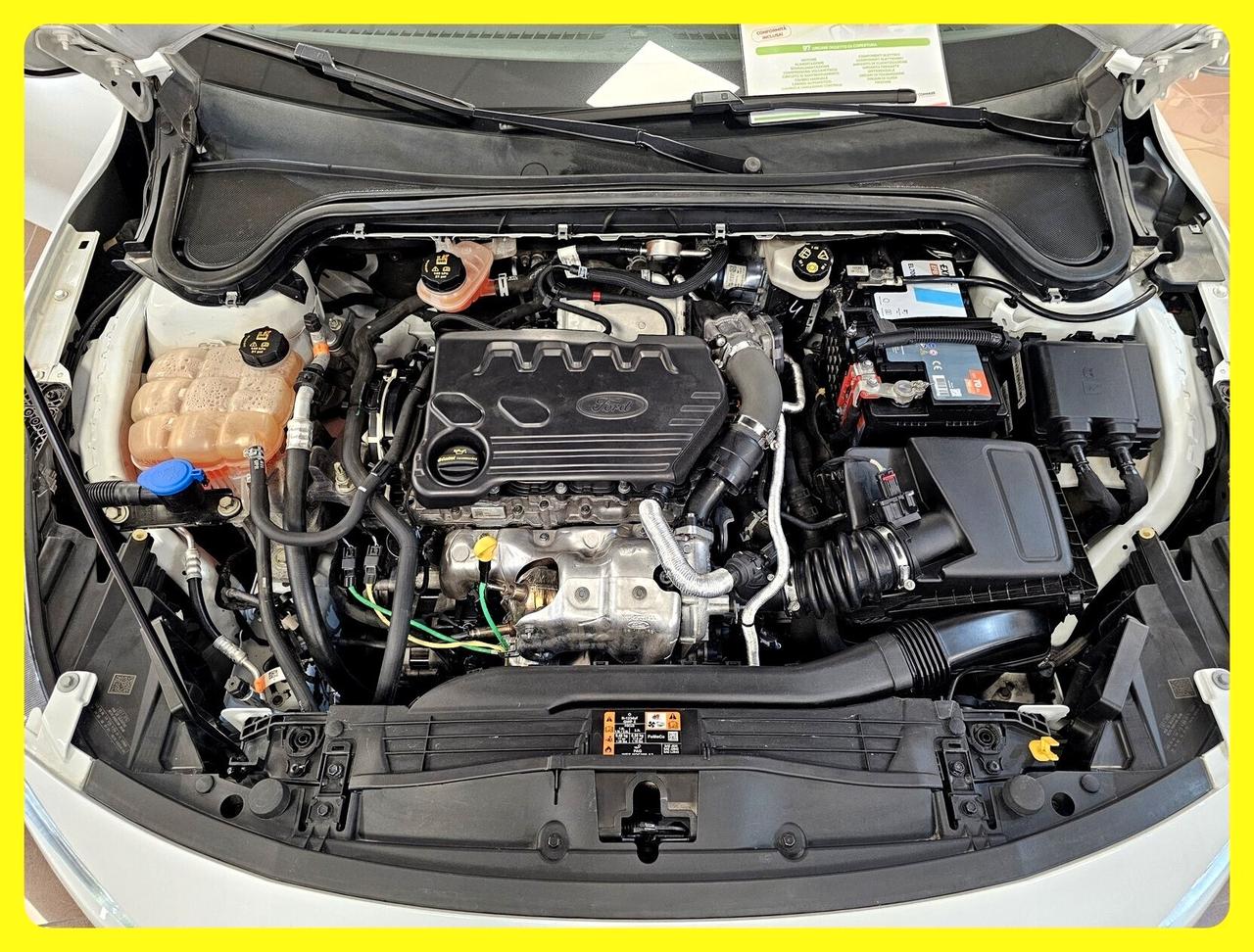 Ford New Focus SW 1.5 EcoBlue 120 CV Automatico Business