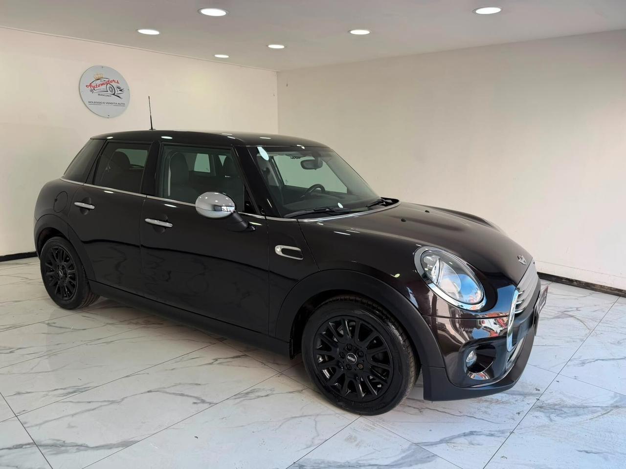 Mini 1.5 One D-GARANTITA-2015