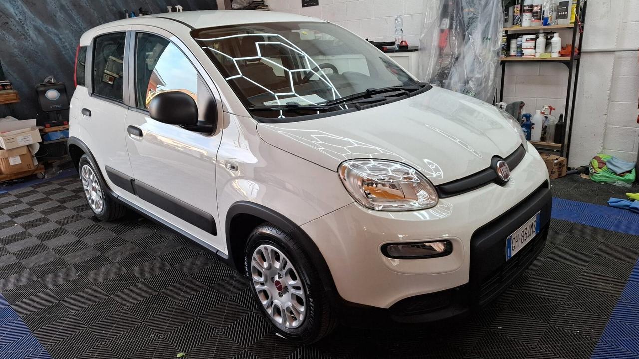 Fiat Panda 1.0 GSE S&S Hybrid Street Van 4 posti PARI A NUOVO € 7787+IVA (PREZZO FINITO 9500€)