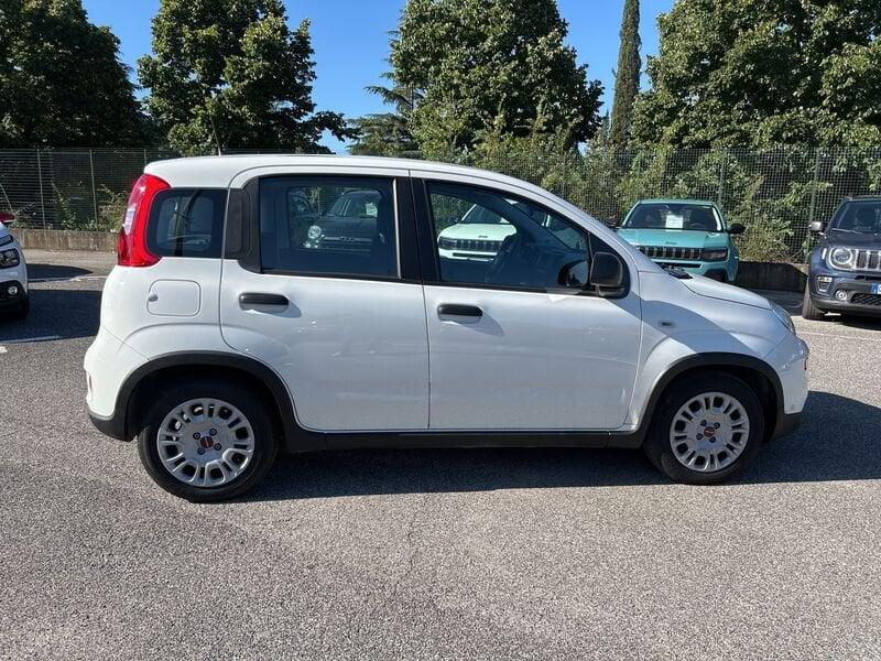 FIAT Panda New My23 1.0 70cv Hybrid Panda