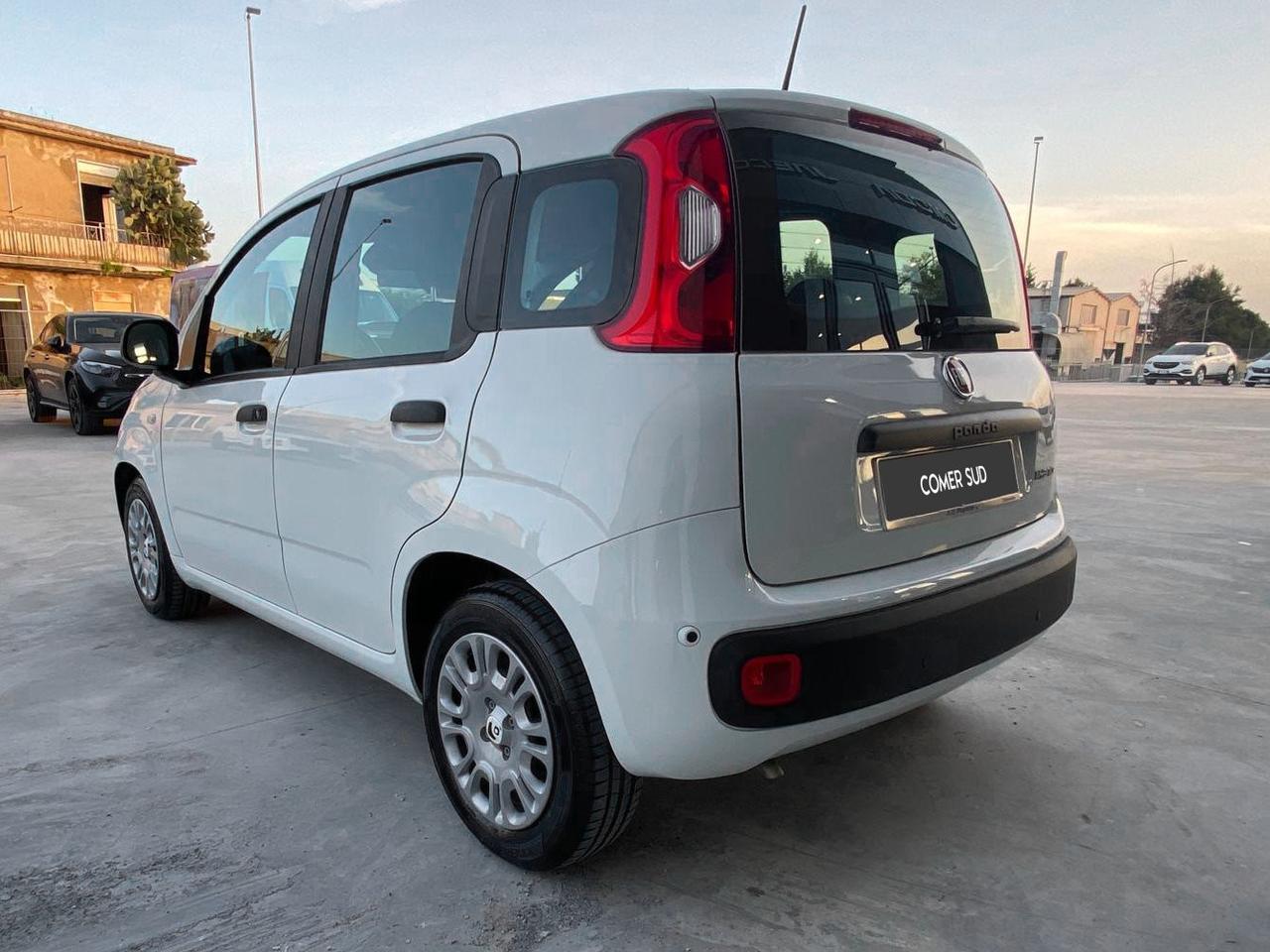 FIAT Panda III - Pandina 1.0 firefly hybrid s&s 70cv 5p.ti