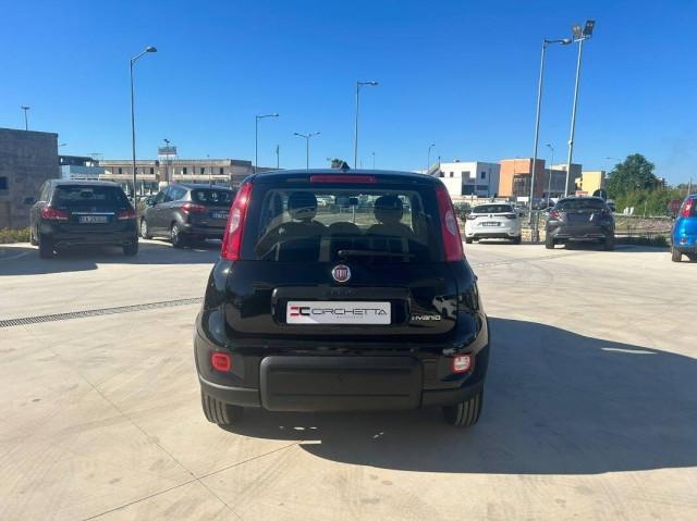 Fiat Panda III 1.0 firefly hybrid s&s 70cv 5p.ti