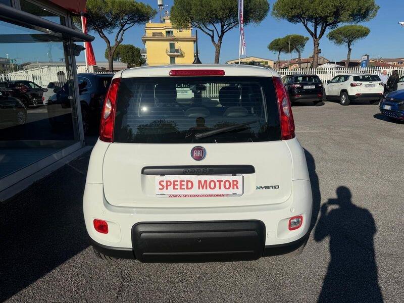 FIAT Panda Panda 1.0 firefly hybrid 70cv 5 POSTI, SENSORI!