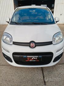 Fiat Panda 1.3 MJT Van 2 posti