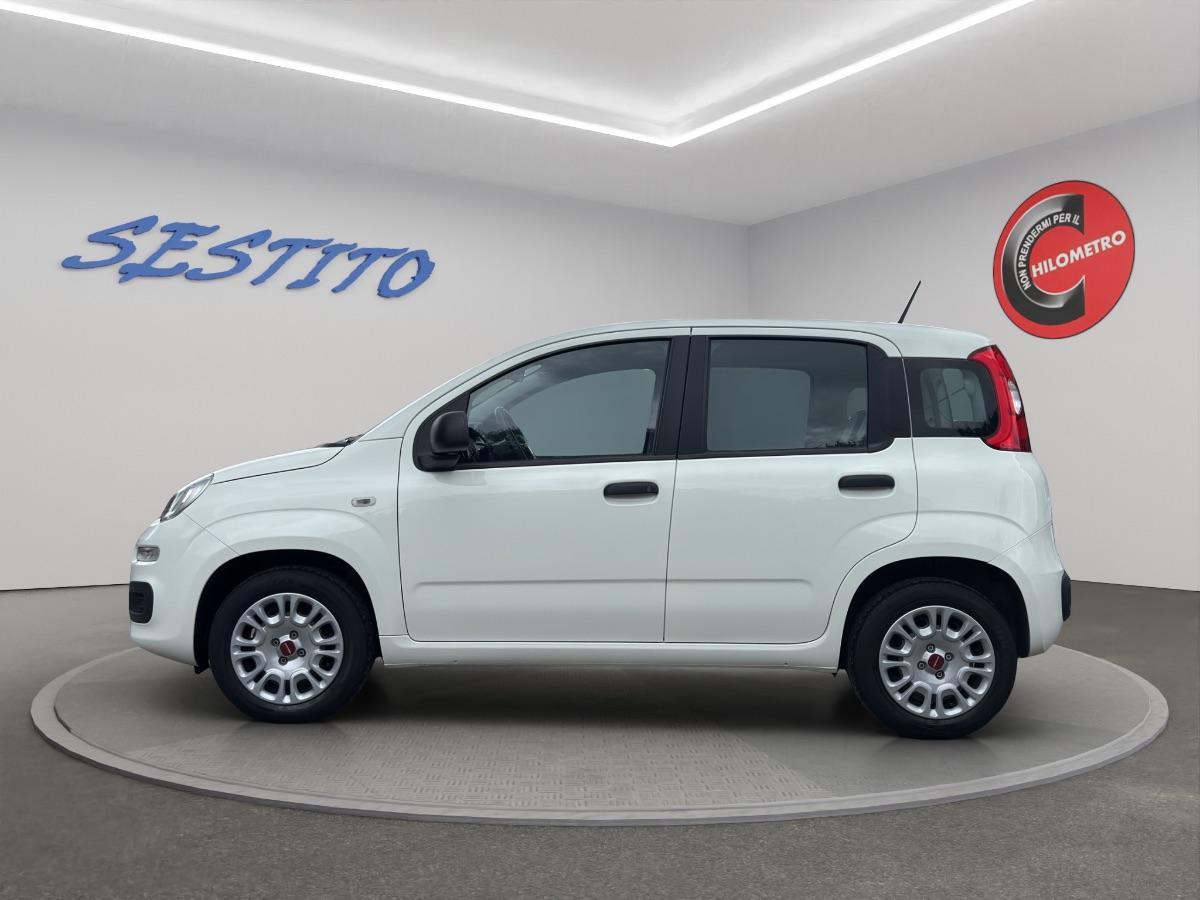 FIAT - Panda 1.2 Easy s&s 69cv my19