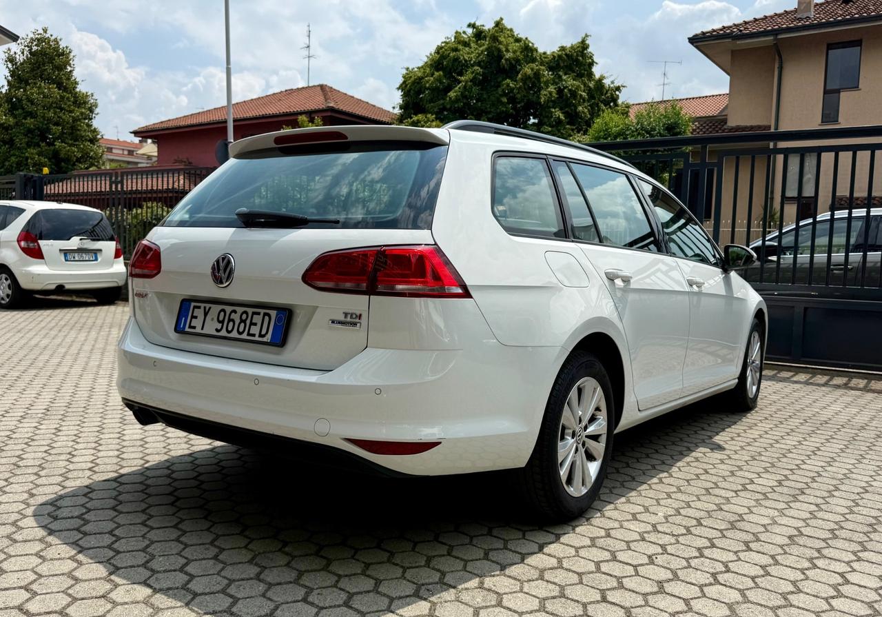 Volkswagen Golf 7 Variant Business 1.6 TDI 105 CV