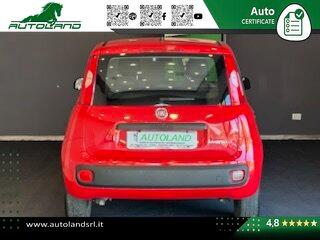 Fiat Panda 1.0 firefly hybrid s&s 70cv 5p.ti