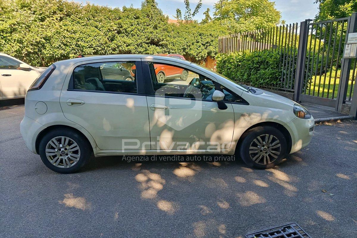 FIAT Punto 1.2 8V 5 porte Easy