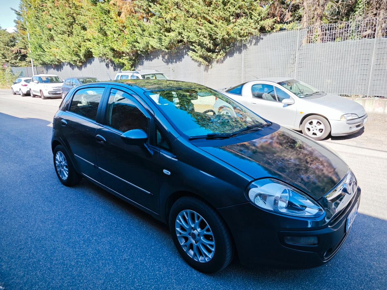 Fiat Punto Evo Punto Evo 1.3 Mjt 75 CV 5 porte Dynamic