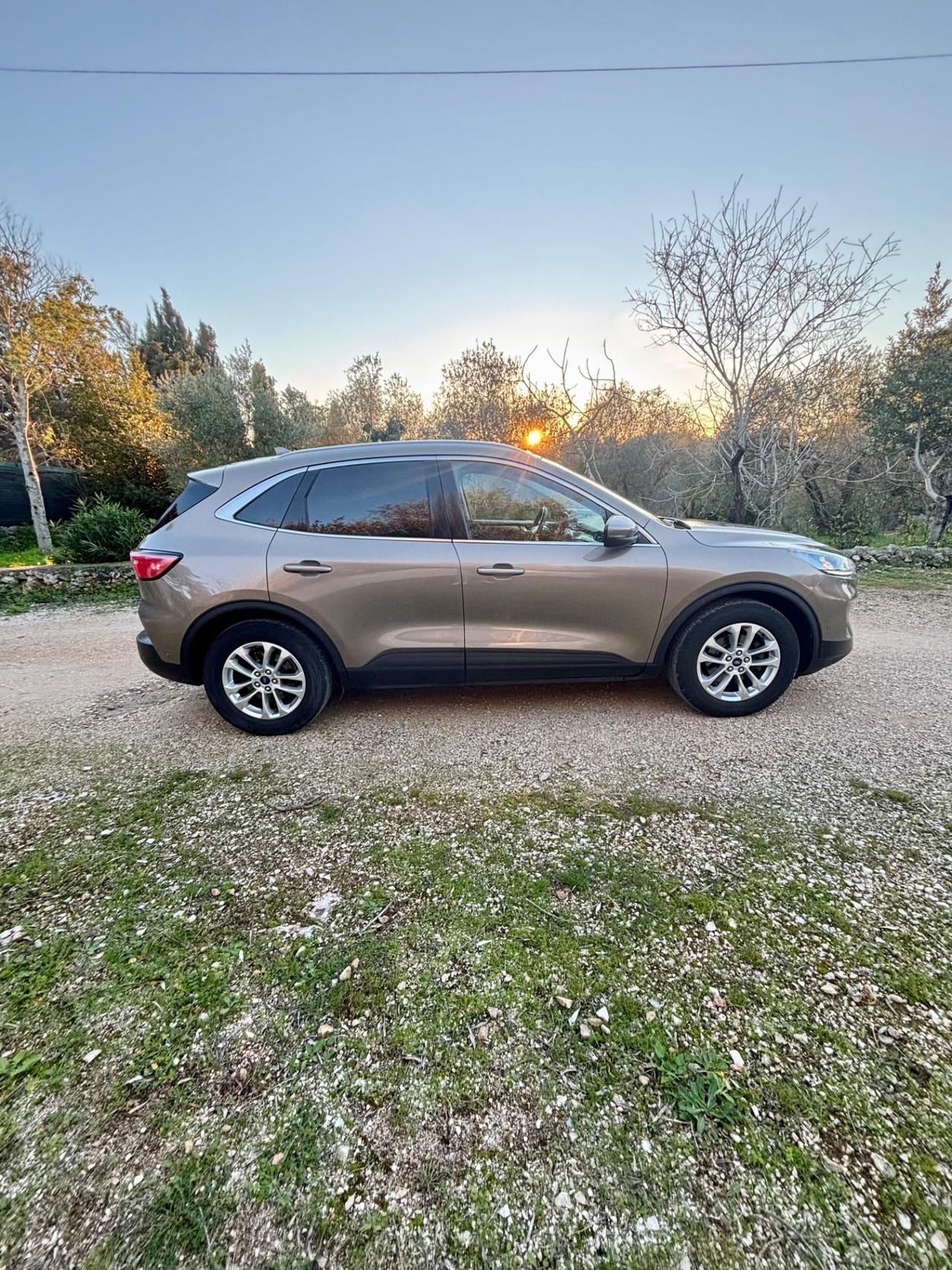 Ford Kuga 1.5 EcoBlue 120 CV 2WD Titanium