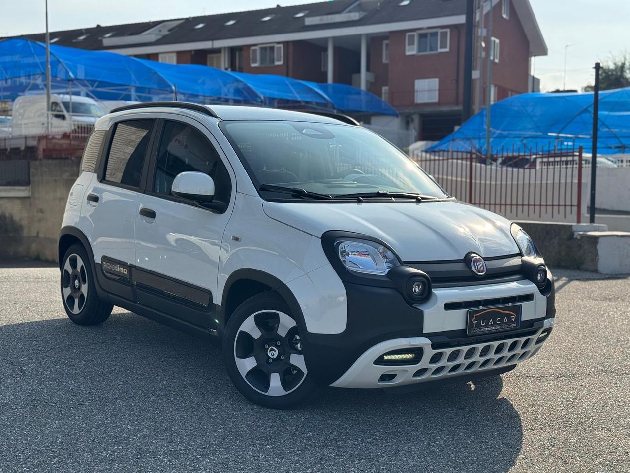 Fiat Panda 1.0 FireFly MHEV Pandina - - PROM #6894