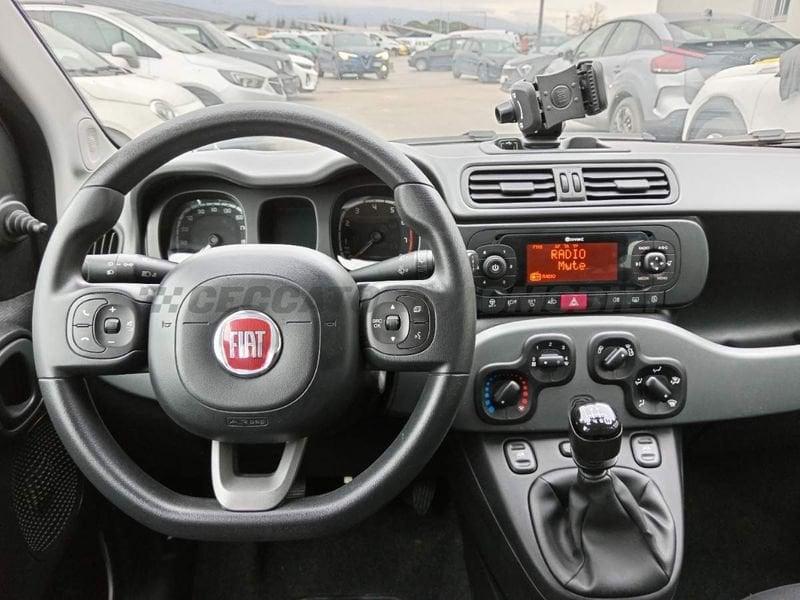 FIAT Panda Panda 1.0 firefly hybrid City Life s&s 70cv 5p.ti