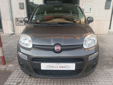 Fiat Panda 1.2 benzina 69 Cv Lounge