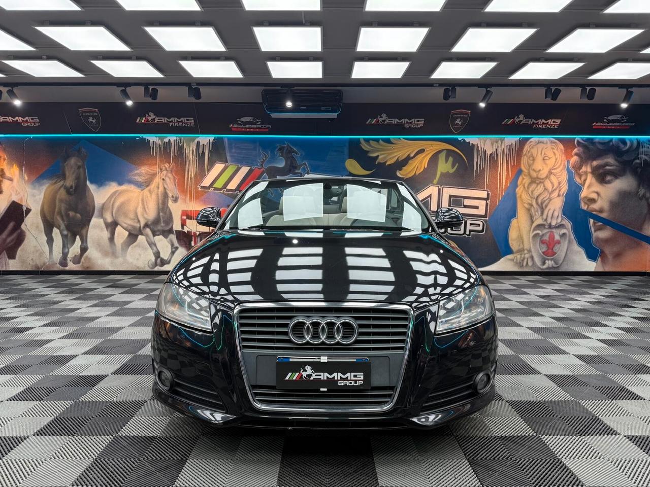 Audi A3 Cabrio 1.9 TDI F.AP. Ambition (112)