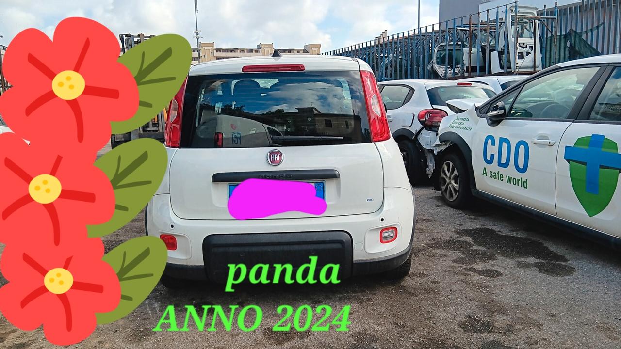 Fiat Panda incidentata sinistrata mondialcars 024